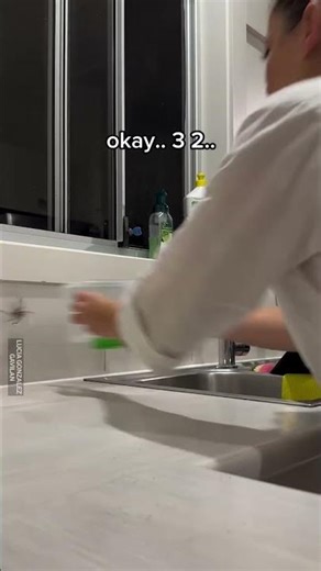 Spider Catch And Release Gone Wrong 😂🕷️