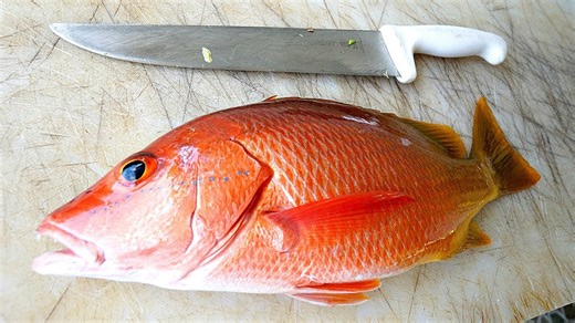 How to Cook Red Snapper Over a Handmade Grill