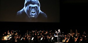 After Koyaanisqatsi, Godfrey Reggio’s Visitors – review