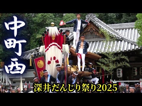 深井中町西だんじり 2025 【深井だんじり祭り】 Fukai Nakamachi-nishi Danjiri 宵宮パレード/野々宮神社 宮入