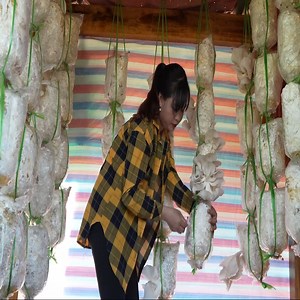 75K views · 4.1K reactions | Harvesting oyster mushrooms to sell. Give the ducks, chickens, and fish food. | Kayden Valencia | Facebook