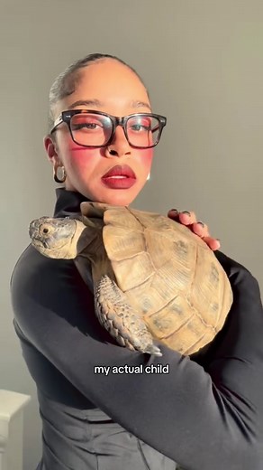 Caring for Your Greek Tortoise: A Pet Owner's Guide