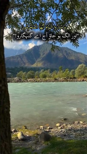 Day 13 of learning Quran | Surah Yaseen | #quran #youtubeshorts #shorts