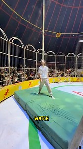 Amazing Circus Stunts That Will Astound You #Circusmagic #Amazingstunts #Bigtopadventure | Deep Dive News