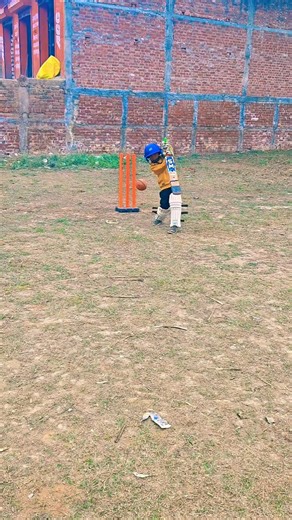 good balance ,⚖️!#shorts #viral #youtubeshorts #cricket