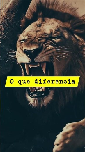 Por que a FORÇA não vence na Savana? A Física do Predador! #biologia #curiosidades