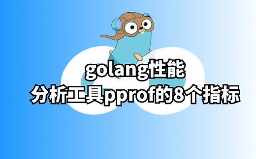 golang性能分析工具pprof的8个指标