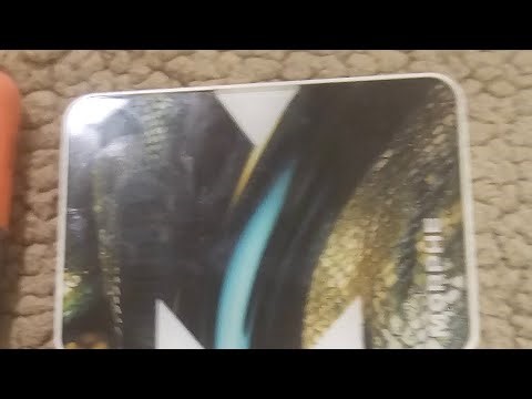 AbbyJ is live! Grwm morphe palettes! Python code & cheek thrills after party