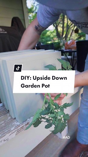 The Nashville Flipper on TikTok