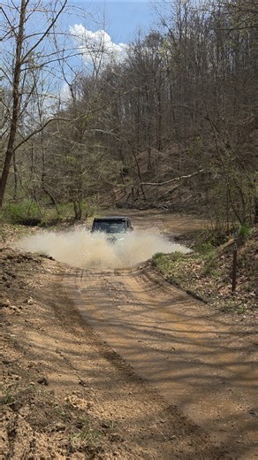 Trail 13 creek crossing on Ivy Branch