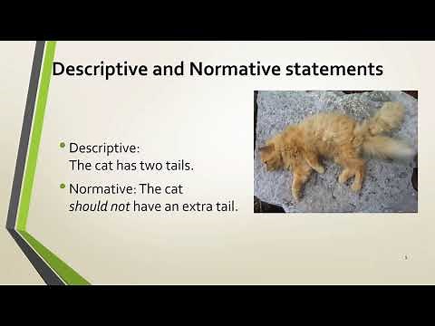 Moral Argument for God C.S. Lewis