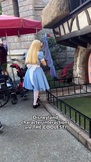 1.7M views · 10K reactions | Just love seeing the characters roaming and interacting with their surroundings ❤️ • • • #disneyland #aliceinwonderland #alice #disneylandpark #disneyparks #disneycharacters #charactermeetandgreet #meetandgreet #disneyfan #disneylove | The DIS | Facebook