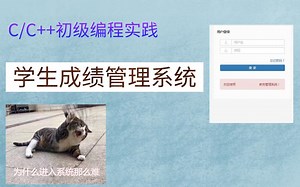 C/C  初级编程实践——学生成绩管理系统。每到抢课时期，系统总是崩溃，今天带你制作学生成绩管理系统，它们有毛关系吗？没有!!!