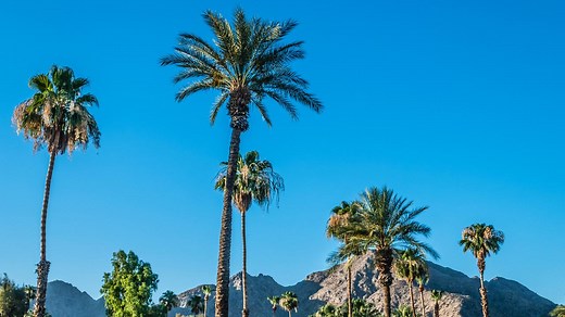 US sees record solar installation in first quarter of 2019, report says