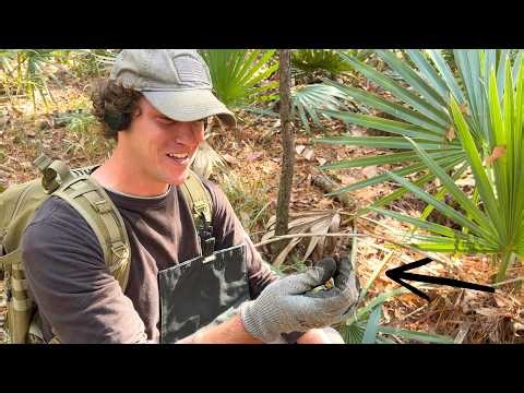 I Can't Believe This Swamp is Full of Treasure! We Almost Got Stranded