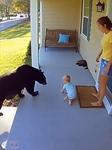 Unbelievable Security Camera Moments: Cats Saving Babies from Bears 😱 #viral #fyp #foryou #cats #ring