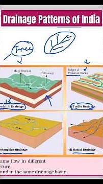 Indian Drainage Patterns- Dendritic-Trellis #shorts