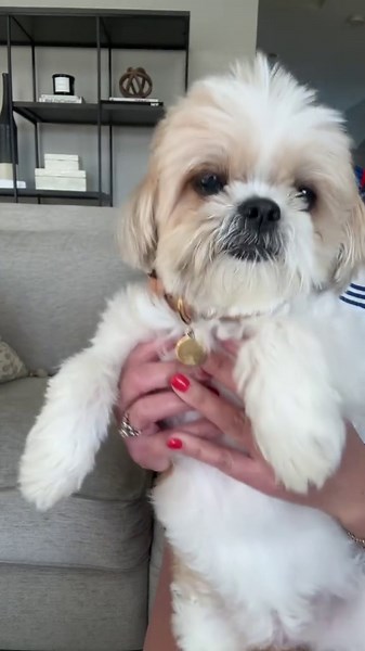 Transform Your Look with the Perfect Bob Haircut