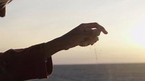 🌽 Building sustainable #FoodSystems means: ✅ Prioritizing biodiversity ✅ Protecting ecosystems ✅ Empowering farmers Let's UNITE to #Act4SDGs to make strides towards achieving sustainable food systems for all: act4sdgs.org | UN SDG Action Campaign