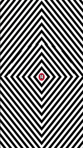 The Best Optical Illusions