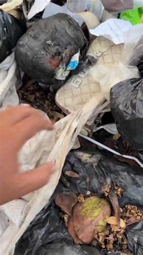 ifound iphone 13promax#fyp #restore