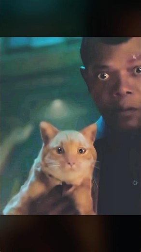 🐱Cat Sneaks Into Spaceship—Why Are Aliens Terrified of This “Cute” Creature?#SciFi #movie #shorts