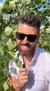 28K views · 486 reactions | Tree Update. #trupdate Quick backstory:...