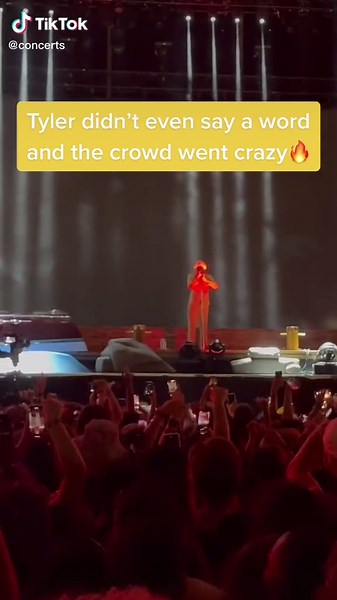 Tyler The Creator Crowd Control at Concerts