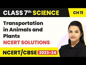 Class 7 Science Chapter 11 | Transportation in Animals and Plants - NCERT Solutions