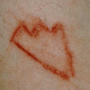 Members Only - Members Only, Vol. 2