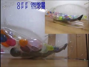 balloon802 vs vibrator in PVC inflatabletube