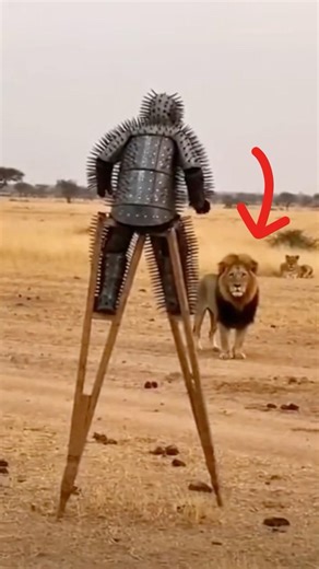 Lion ATTACKED Man In Spike Suit 😱😱.