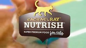 Adorable cat-letes, Cha-Cha and Cookie are in search of their forever home & ready to play in this year’s KittenBowl VII sponsored by Nutrish for Cats premiering on Feb. 2. | Hallmark Channel