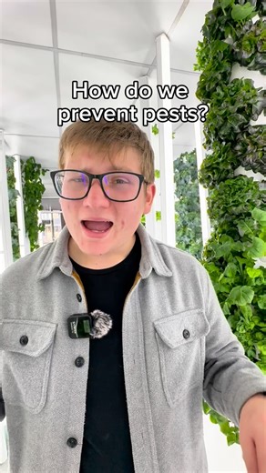 How do we prevent bugs in our indoor farm? We don’t use harmful chemical pesticides, so we need to get clever to ensure that we don’t get bugs in our systems. #science #verticalfarming #hydroponics #agriculture #garden #indoorfarm #indoorfarming | Grow Space