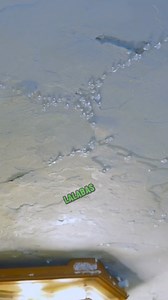 WAG KA MAG-TAKE NG RISK‼️ 😫 Sino ba naman ang gustong mag-deal sa hidden defects after gumastos ng malaki? If you don’t pay attention to this now, surprise gastos yan in the future! 😱💸 Wag mo nang hintayin na abutin yan ng milyon—make sure na walang issues ang property mo ASAP! ⚠️ With PHILinspect, we offer thorough property inspections that uncover hidden defects na hindi mo nakikita. Our expert team uses advanced tools to ensure your investment is secure and totally issue-free. 💯 So, ano p