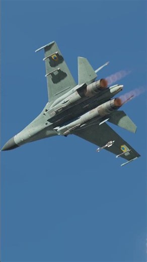 How to evade an R-73...💀 #DCS