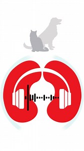 What are their kidneys telling you? | IDEXX