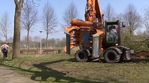 Amazing Big Tree Harvest & Cutting Machines Working - Incredible Huge Excavator Cutting Tree | Excavator drivers - sailors