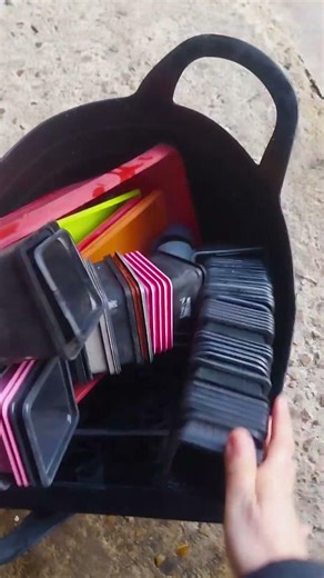 Seed Starting Season 🌱