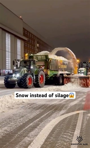 Snow instead of silage❄️