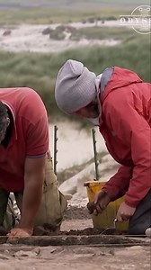 40K views · 900 reactions | Cattle Skulls Found: The Mysterious Wall Foundation | Odyssey - Ancient History | Facebook