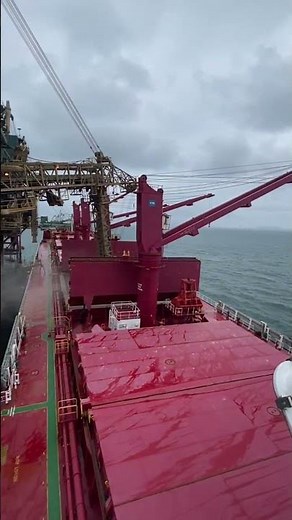 How Bulk Carrier Loading | Heavy Cargo Operations in Port 🚢#shorts