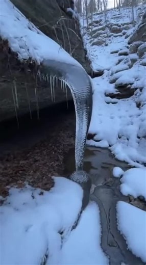 The Anomaly Files on Instagram‎: "Encountered this mesmerizing, ribbed ice formation deep in the woods. Its unique texture is like nothing on Earth. Witness this rare natural phenomenon! صادفت هذا التكوين الجليدي المضلع والمذهل في عمق الغابة. نسيجه الفريد لا يشبه أي شيء على الأرض. شاهد هذه الظاهرة الطبيعية النادرة! #naturalwonder #iceart #frozenmystery #alienarchitecture #naturelover #wintermagic #explore #غموض #عجائب_الطبيعة #ظاهرة"‎