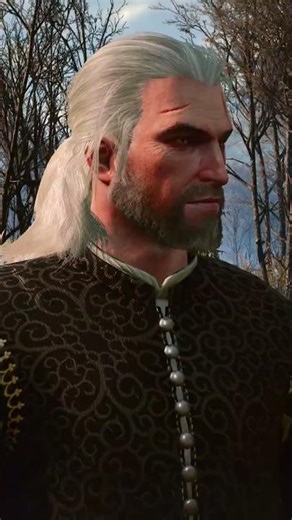 Where would you look to settle down if you lived on the Continent? 👀 #witcher #witcher3