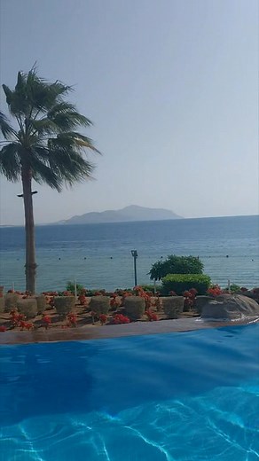 Tim Embling on Reels