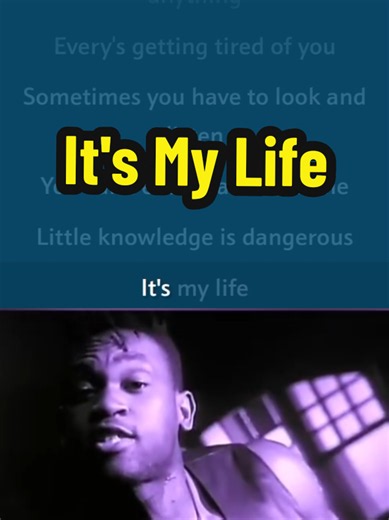 Aprende inglés con It's My Life de Dr. Alban – subtítulos en inglés