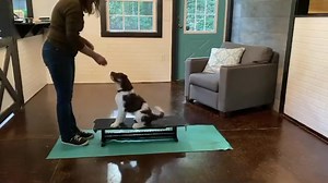 We are working again on our confidence building with our platform...