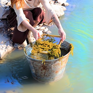 Unbelievable crafts from seaweed | 5-Minute Recycle