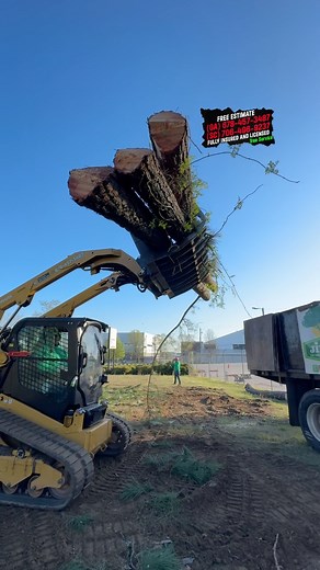 👷‍♂️Pines Removal and land Clearing project 📍Atlanta, Georgia 🗣️Call us right now and get a #freeestimate ☎️(678) 457-3487 {GA} ☎️(706) 496-9237 {SC} ✅Fully Insured ✅licensed . . . #treeservice #arborist #treework #treeremoval #treecare #treelife #treesurgeon #trees #arblife #stihl #tree #chainsaw #treeclimber #treeclimbing #arboriculture #treecutting #arboristlife #treebiz #treefelling #logger #treetrimming #logging #treeworker #arboristsofinstagram #treesurgery #stihlchainsaw #forestry #tre