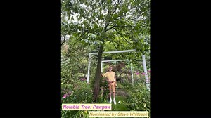 2K views · 25 reactions | Results of the most recent New York State Big Tree Search where the challenge was to find bigger trees than those currently documented. | Ancient Forests & Champion Trees | Facebook